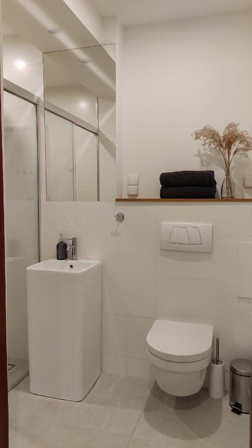 Stary Toruń Apartamenty Ceglane מראה חיצוני תמונה